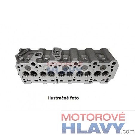HLAVA VALCOV 2.0 D 483 DLTC, TATA, SAFARI